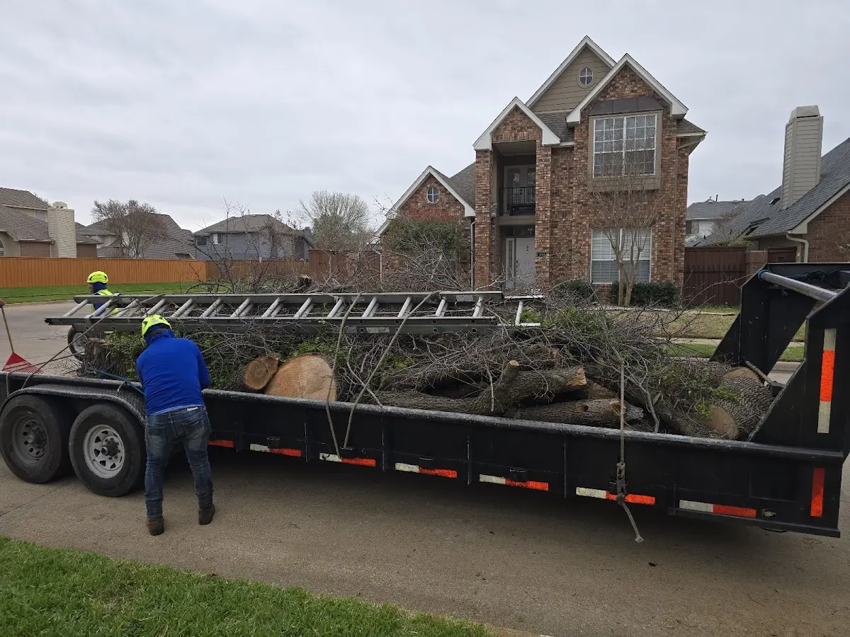 Expert Lot Clearing with proper safety equipment in Fabyan